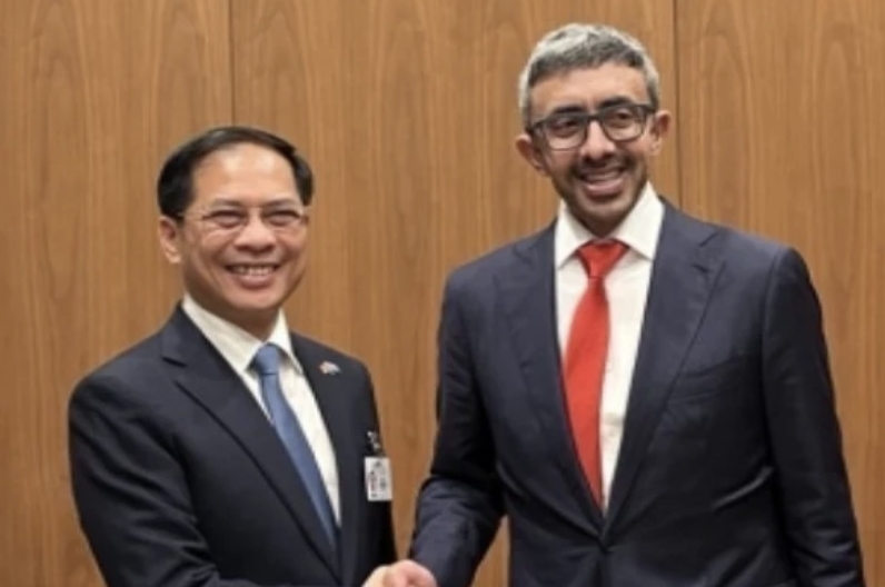 Vietnamese Deputy PM meets with UAE official, US business representatives
